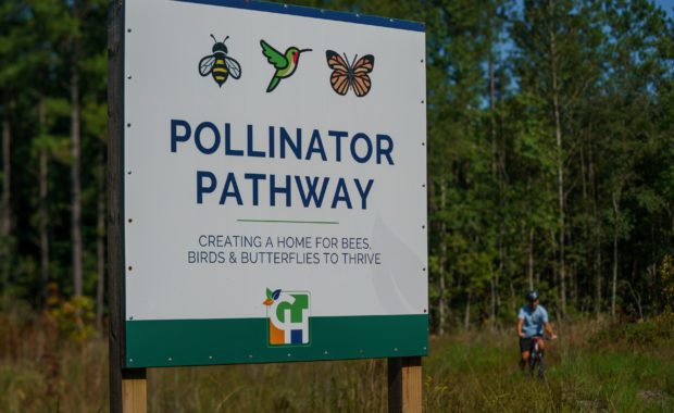 Sign for the Pollinator Pathway