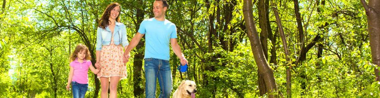 Family on a walk