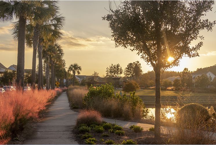 Park at dusk