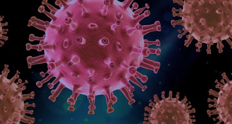 Image of Virus