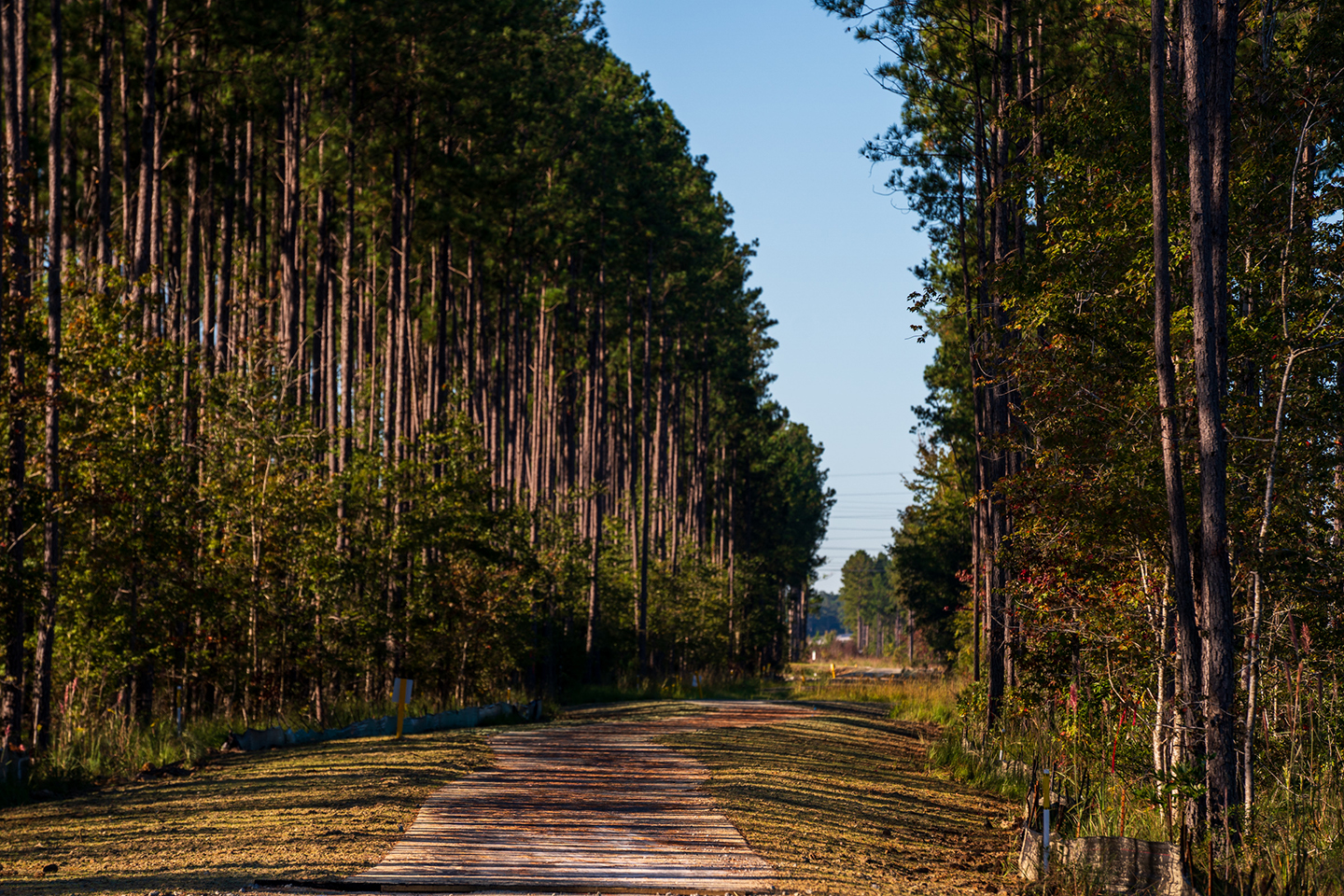 Camp Hall Trail System