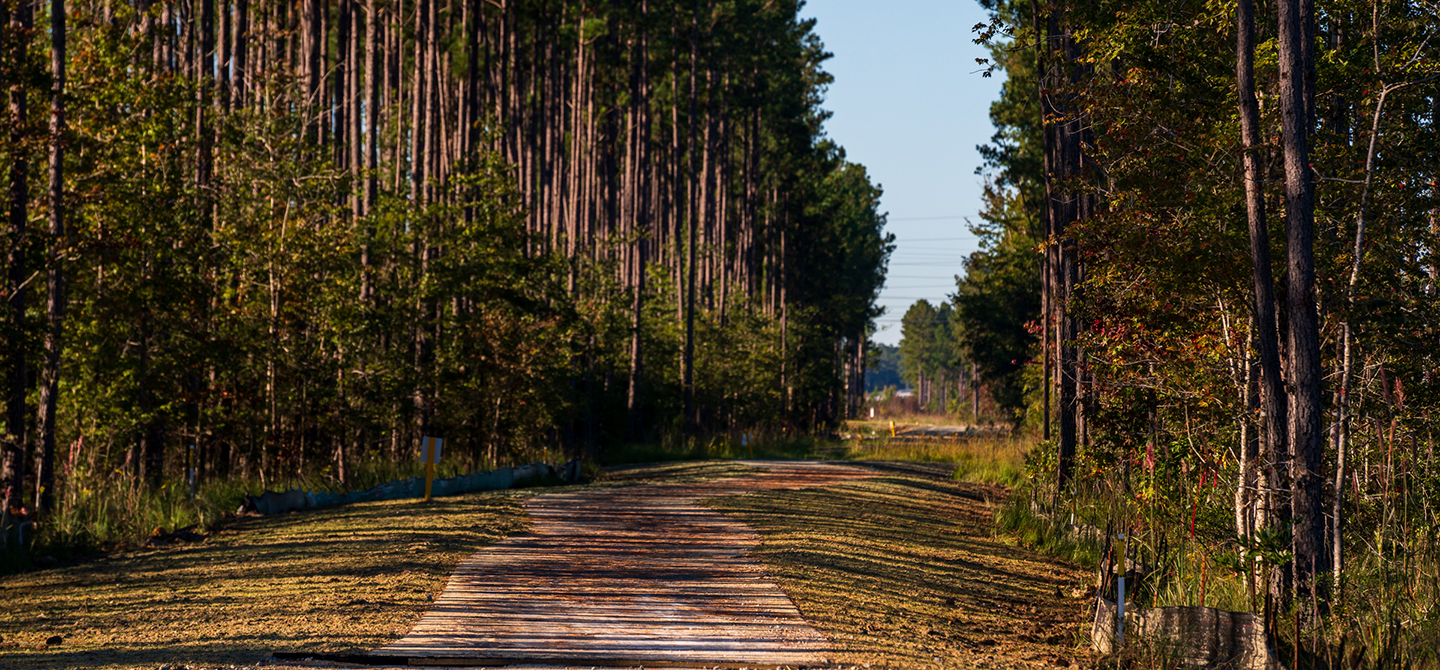Camp Hall Trail System